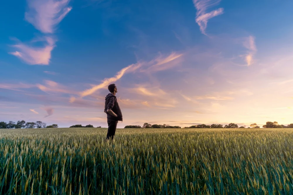 man looking at sky in a field